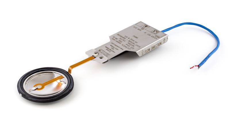 Zanitary_bi_indicator_EPDM_gasket.jpg